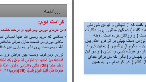 دانلود پی دی اف کتاب جهان بینی اسلامی معراج الدین نایل PDF