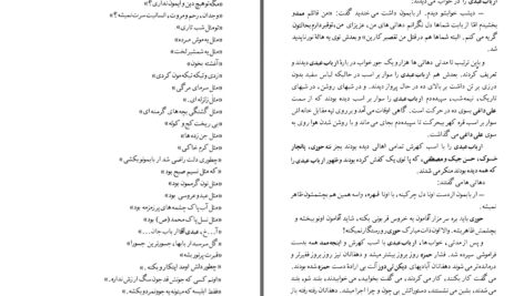دانلود پی دی اف کتاب شاهین آناوارزا یاشار کمال PDF