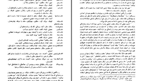 دانلود پی دی اف کتاب پنهانکاری ، پنهانپژوهی و براندازی د. م. نیا PDF