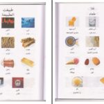دانلود پی دی اف کتاب آموزش تصویری لغات پرکاربرد عربی و فارسی PDF