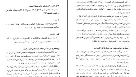 دانلود پی دی اف کتاب ترجمه و شرح بدایه الحکمه جلد دوم دکتر علی شیروانیPDF