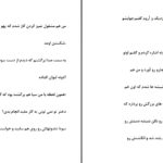 دانلود پی دی اف کتاب صبر کن دارم عاشقت میشم شیما آبیانPDF