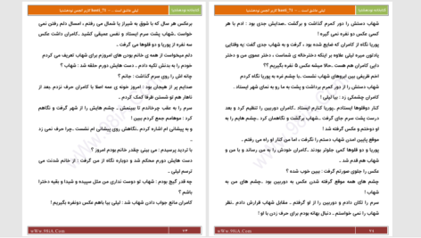 دانلود پی دی اف کتاب لیلی عاشق است PDF