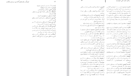 دانلود فایل پی دی اف کتاب فرهنگ واژه های گفتاری مردم بدخشان داکتر احمد قلی ضیأ زاده PDF