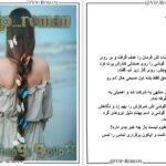 دانلود پی دی اف کتاب برکه PDF