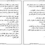 دانلود پی دی اف کتاب برکه PDF