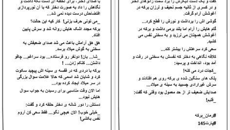 دانلود پی دی اف کتاب برکه PDF