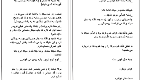 دانلود پی دی اف کتاب برکه PDF