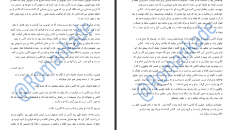 دانلود پی دی اف کتاب انتقام خونین زکیه صالح PDF