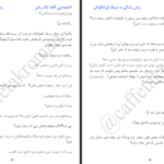 دانلود پی دی اف کتاب زندگی به سبک اورانگوتان صبا حسینی PDF