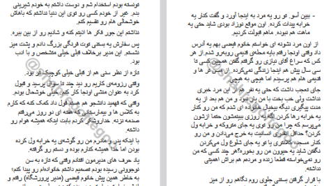 دانلود فایل پی دی اف کتاب حافظه ی نفرین شده PDF