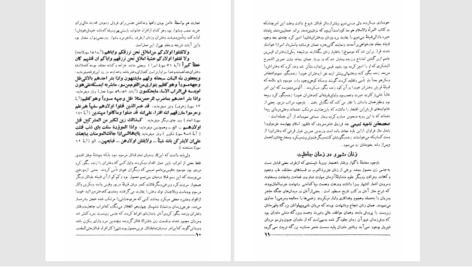 دانلود پی دی اف کتاب حقوق زن در جاهلیت و اسلام PDF