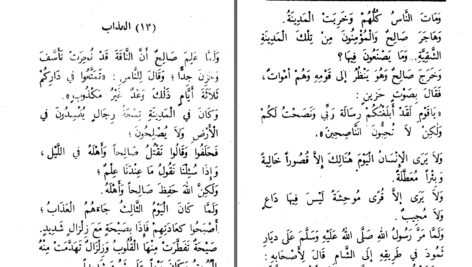 دانلود پی دی اف کتاب قصص النبیین جلد دوم ابوالحسن علی الحسنی الندوی PDF