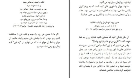 دانلود پی دی اف کتاب اصول نجابت رندی الکورن PDF