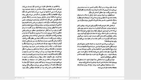 دانلود پی دی اف کتاب از پرنده های مهاجر بپرس PDF
