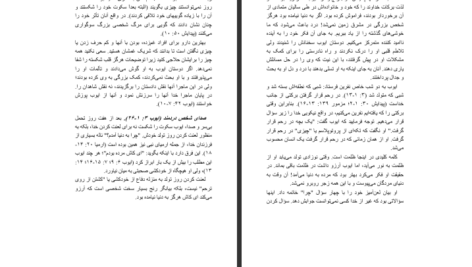 دانلود پی دی اف کتاب صبور باشید وارن ریرزبی PDF
