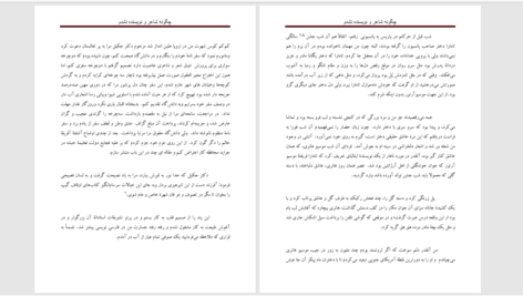 دانلود پی دی اف کتاب چگونه شاعر و نویسنده نشدم؟ PDF