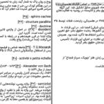 دانلود پی دی اف کتاب قدرت بی قدرتان عبدالرحمن برومند PDF
