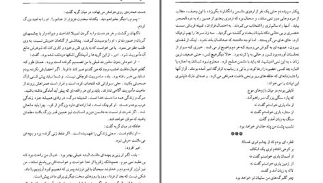 دانلود پی دی اف کتاب همسفرها علی محمد افغانی PDF