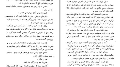 دانلود پی دی اف کتاب بیوگرافی یا خاطرات یک خر کنتس دوسگور PDF