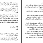 دانلود پی دی اف کتاب بترس از من ساحل بهنامی PDF