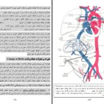 دانلود پی دی اف کتاب امبریولوژی عمومی انسان پوهندوی دوکتور بشیر نورمن PDF