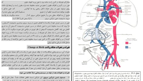 دانلود پی دی اف کتاب امبریولوژی عمومی انسان پوهندوی دوکتور بشیر نورمن PDF