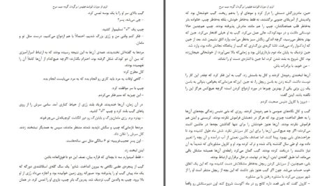 دانلود پی دی اف کتاب رویای یک آرزوی کوچک سوزان الیزابت فیلیپس PDF