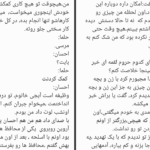دانلود پی دی اف کتاب مافیا و عشق 2 هوژین PDF
