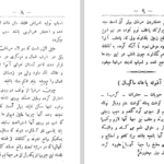 دانلود فایل پی دی اف کتاب علاج الطیر دکتر مرتضی گلسرخی PDF