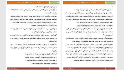 دانلود پی دی اف کتاب لیلی عاشق است PDF