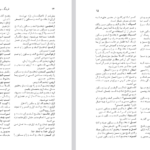 دانلود فایل پی دی اف کتاب فرهنگ واژه های گفتاری مردم بدخشان داکتر احمد قلی ضیأ زاده PDF