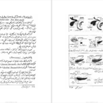 دانلود پی دی اف کتاب امبریولوژی طبی پوهندوی دوکتور بشیر نورمل PDF