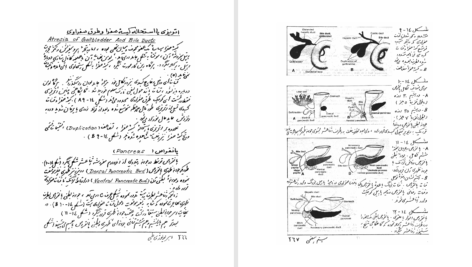 دانلود پی دی اف کتاب امبریولوژی طبی پوهندوی دوکتور بشیر نورمل PDF