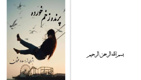 دانلود پی دی اف کتاب پرنده زخم خورده ساره عثمان PDF