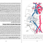دانلود پی دی اف کتاب امبریولوژی عمومی انسان پوهندوی دوکتور بشیر نورمل PDF