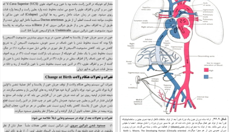 دانلود پی دی اف کتاب امبریولوژی عمومی انسان پوهندوی دوکتور بشیر نورمل PDF