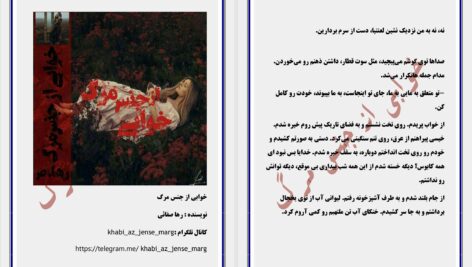 دانلود پی دی اف کتاب خوابی از جنس مرگ رها صفائی PDF
