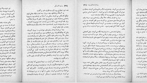 دانلود پی دی اف کتاب پرواز را به خاطر بسپار یرزی کازینسکی PDF