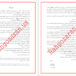 دانلود پی دی اف کتاب جلاد لاغر دارن شان PDF