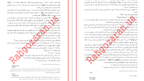 دانلود پی دی اف کتاب جلاد لاغر دارن شان PDF