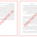 دانلود پی دی اف کتاب جلاد لاغر دارن شان PDF