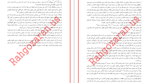 دانلود پی دی اف کتاب جلاد لاغر دارن شان PDF