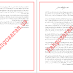 دانلود پی دی اف کتاب جلاد لاغر دارن شان PDF