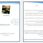 دانلود پی دی اف کتاب گذر از غم آذر دالوند PDF