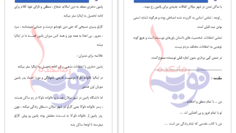 دانلود پی دی اف کتاب خدا عشق را واسطه کرد فائزه عبدی PDF