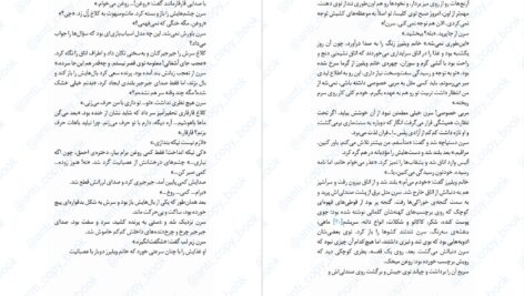 دانلود پی دی اف کتاب کلاغ کوکی جلد 1 کاترین فیشر PDF