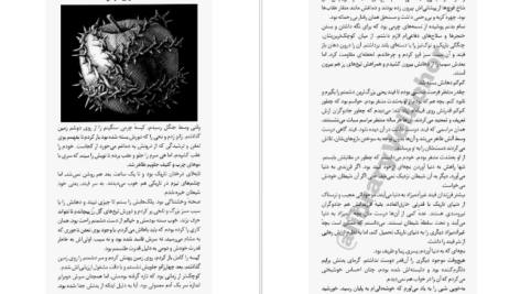 دانلود پی دی اف کتاب آخرین شاگرد جلد نهم جوزف دیلینی PDF