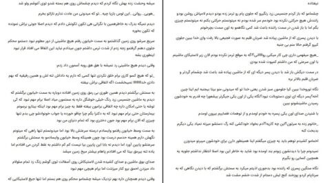 دانلود پی دی اف کتاب پولتو به روخم نکش کیانا بهمن زاد PDF