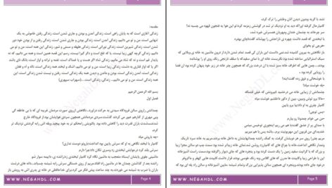 دانلود پی دی اف کتاب رمان پر طرفدار پاورقی زندگی دوم پریبانو PDF